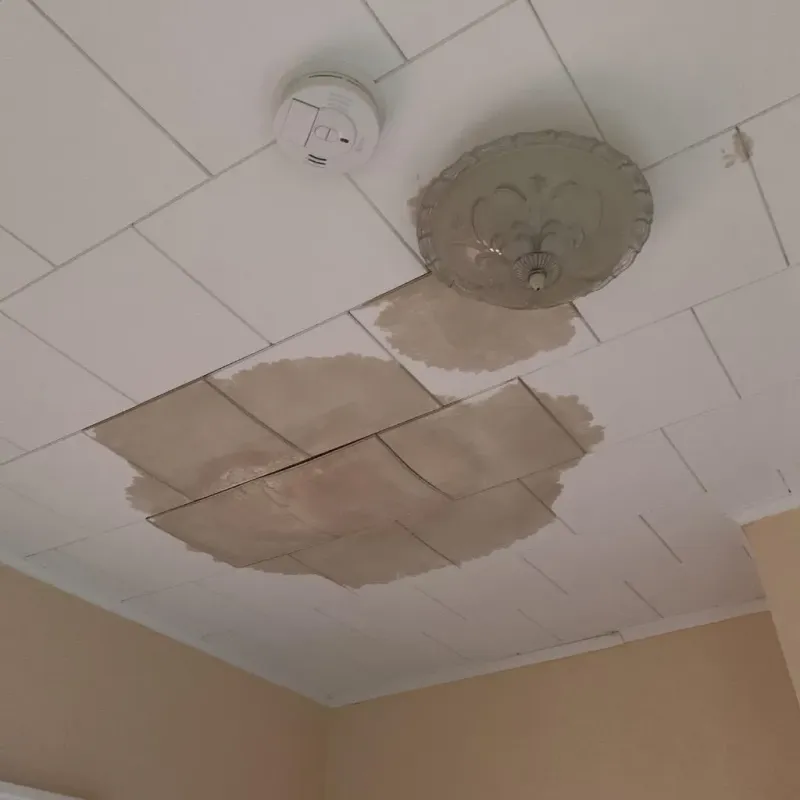 Ceiling Water Damage Repair in Plandome Heights, NY